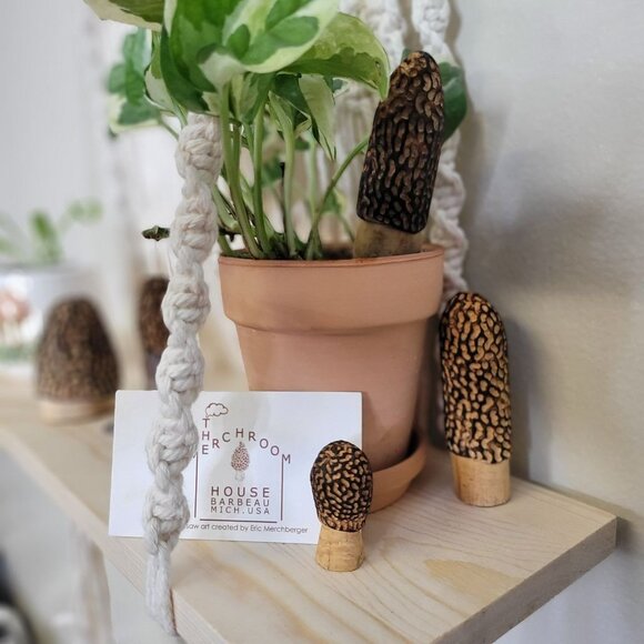 Mixed set of Carved Morel Merchrooms Variety Pack Plant Stake Decor Mushroom - Picture 8 of 11